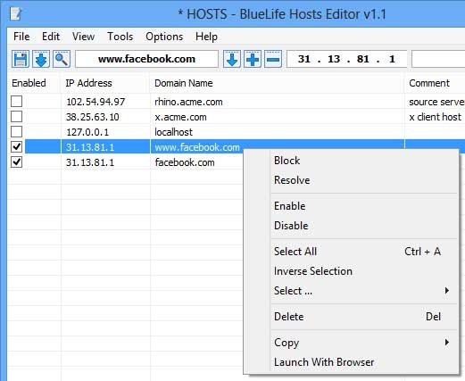 Windows Hosts File Editor and Switcher Software BlueLife Hosts Editor